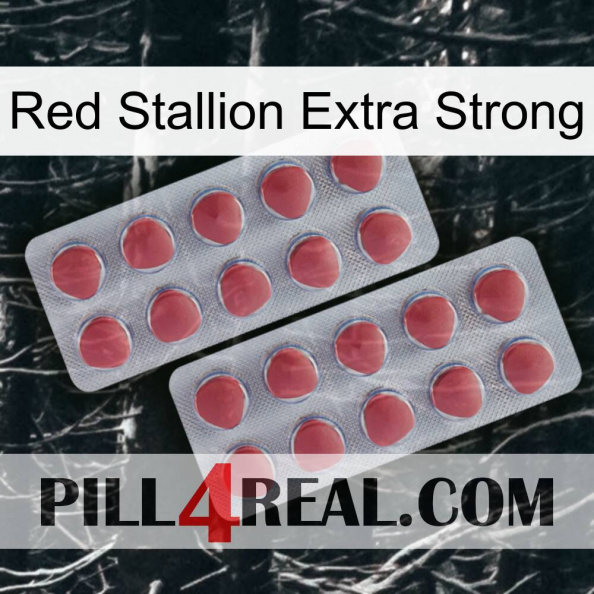 Red Stallion Extra Strong 19.jpg